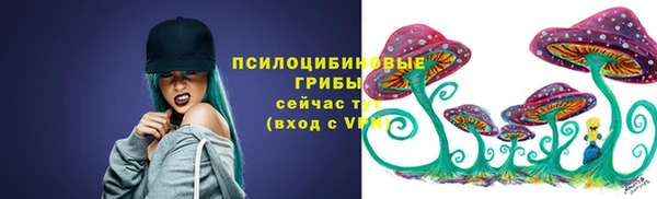 метадон Вяземский