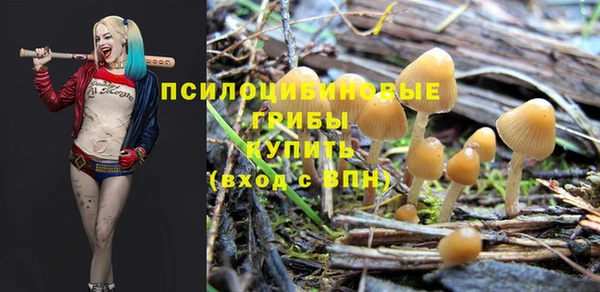 крисы Вязники