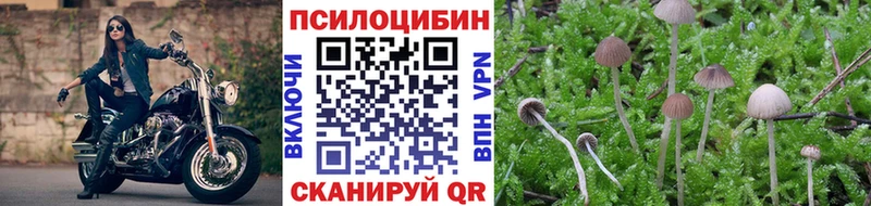Псилоцибиновые грибы мицелий  нарко площадка формула  Кущёвская  купить закладку 